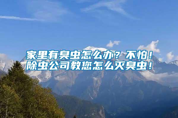 家里有臭蟲(chóng)怎么辦？不怕！除蟲(chóng)公司教您怎么滅臭蟲(chóng)！