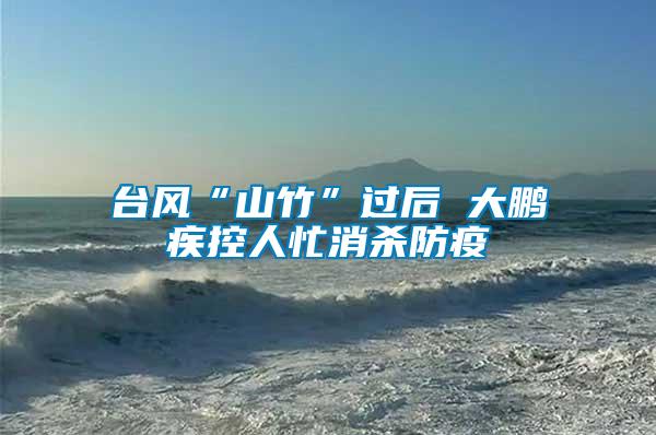 臺(tái)風(fēng)“山竹”過(guò)后 大鵬疾控人忙消殺防疫