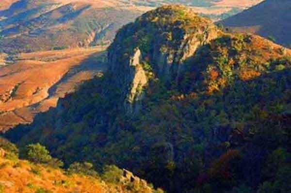 家里發現螞蟻怎么辦?怎么消滅螞蟻?