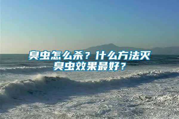 臭蟲怎么殺？什么方法滅臭蟲效果最好？