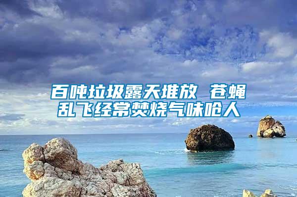 百噸垃圾露天堆放 蒼蠅亂飛經常焚燒氣味嗆人