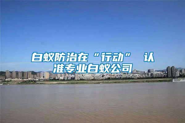 白蟻防治在“行動(dòng)” 認(rèn)準(zhǔn)專(zhuān)業(yè)白蟻公司