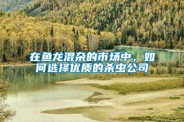 在魚龍混雜的市場中，如何選擇優質的殺蟲公司