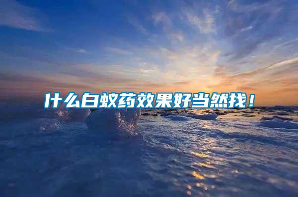 什么白蟻藥效果好當然找！
