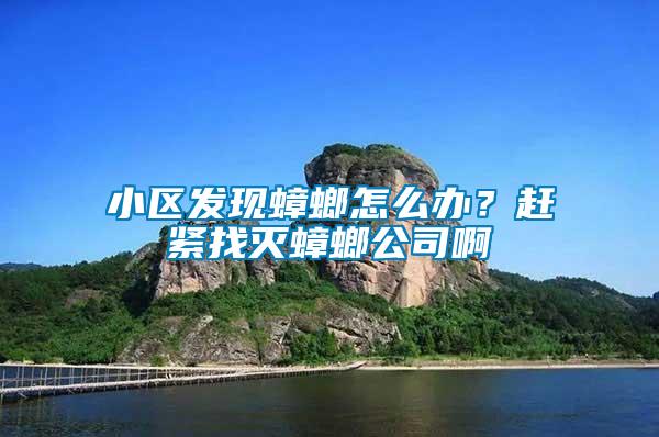 小區(qū)發(fā)現(xiàn)蟑螂怎么辦？趕緊找滅蟑螂公司啊