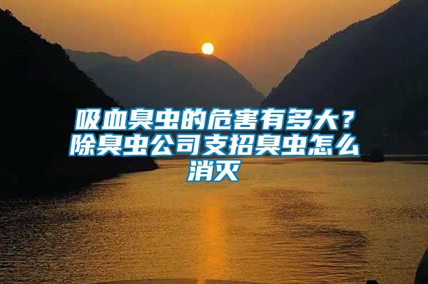 吸血臭蟲(chóng)的危害有多大？除臭蟲(chóng)公司支招臭蟲(chóng)怎么消滅