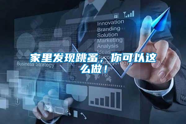 家里發現跳蚤，你可以這么做！