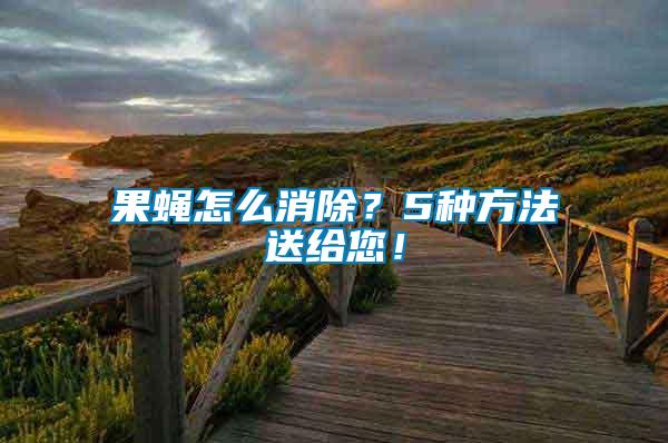 果蠅怎么消除？5種方法送給您！