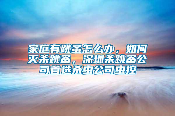 家庭有跳蚤怎么辦，如何滅殺跳蚤，深圳殺跳蚤公司首選殺蟲公司蟲控