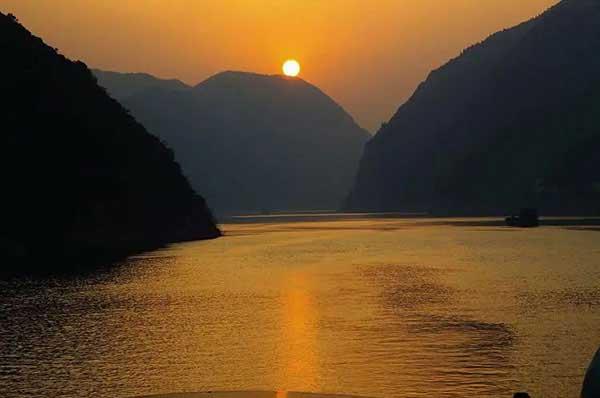 滅蟲公司，大家都需要