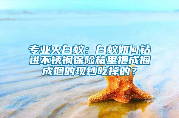 專業滅白蟻：白蟻如何鉆進不銹鋼保險箱里把成捆成捆的現鈔吃掉的？