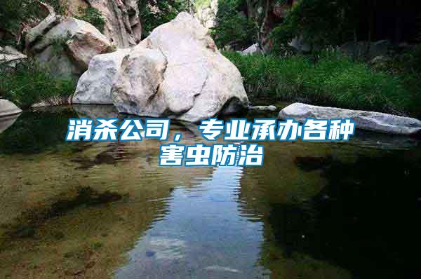 消殺公司，專業承辦各種害蟲防治