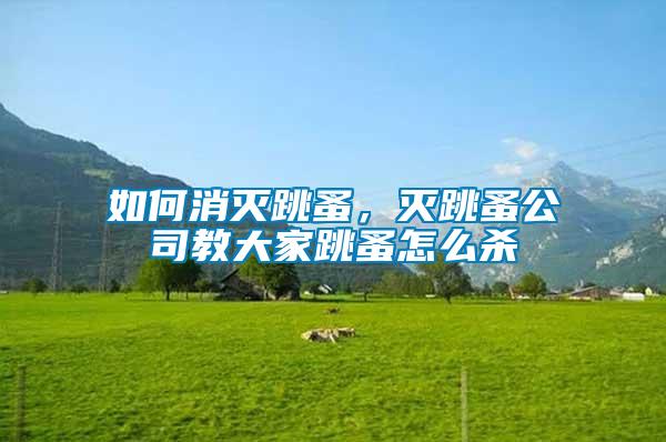 如何消滅跳蚤，滅跳蚤公司教大家跳蚤怎么殺