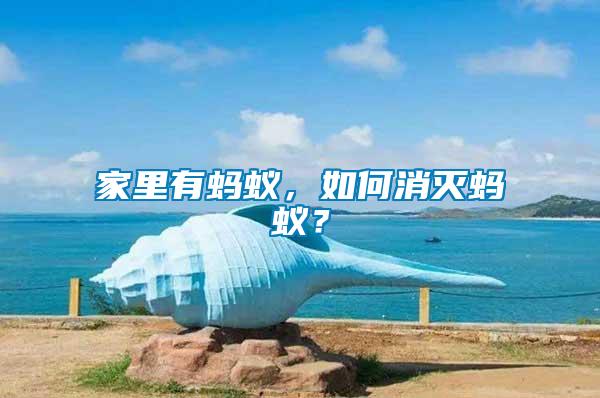 家里有螞蟻，如何消滅螞蟻？