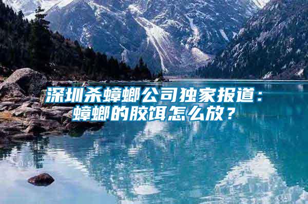 深圳殺蟑螂公司獨家報道：蟑螂的膠餌怎么放？