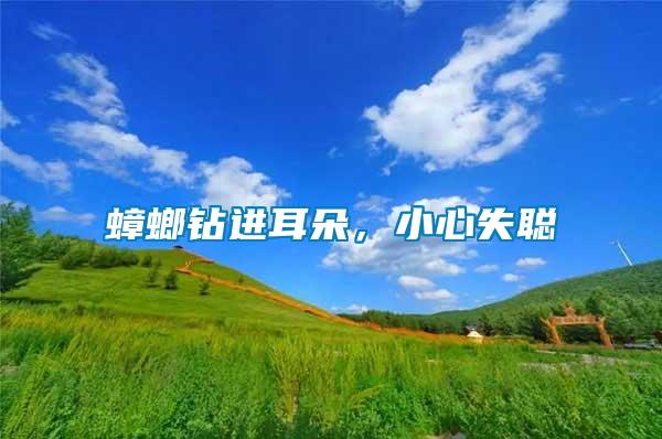 蟑螂鉆進(jìn)耳朵，小心失聰