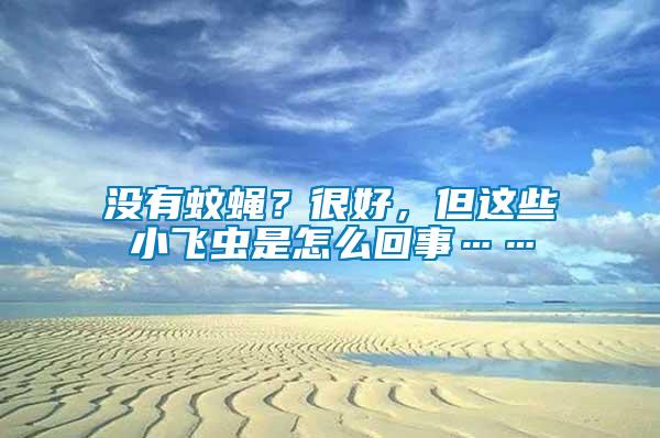 沒有蚊蠅？很好，但這些小飛蟲是怎么回事……
