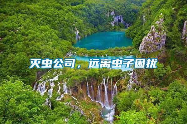 滅蟲公司，遠離蟲子困擾