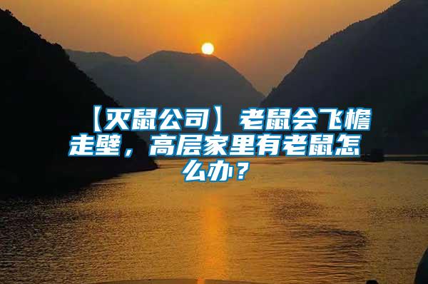 【滅鼠公司】老鼠會飛檐走壁，高層家里有老鼠怎么辦？