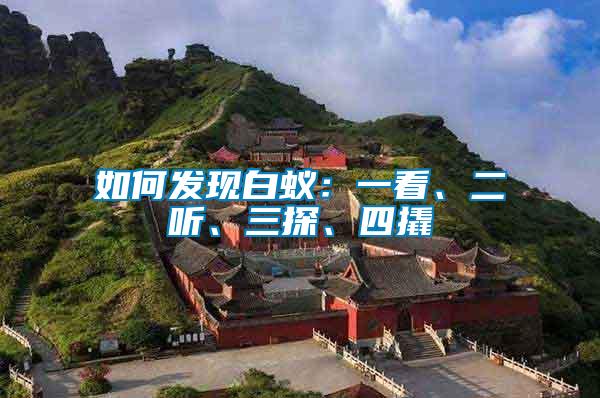 如何發(fā)現(xiàn)白蟻：一看、二聽、三探、四撬