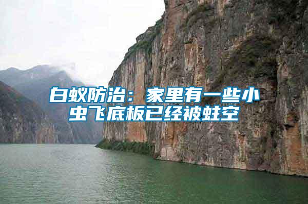 白蟻防治：家里有一些小蟲(chóng)飛底板已經(jīng)被蛀空