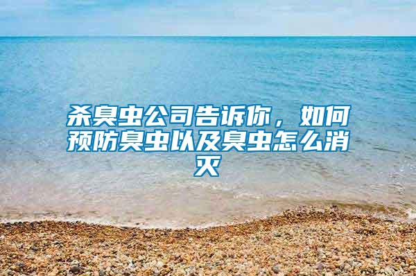 殺臭蟲公司告訴你，如何預防臭蟲以及臭蟲怎么消滅