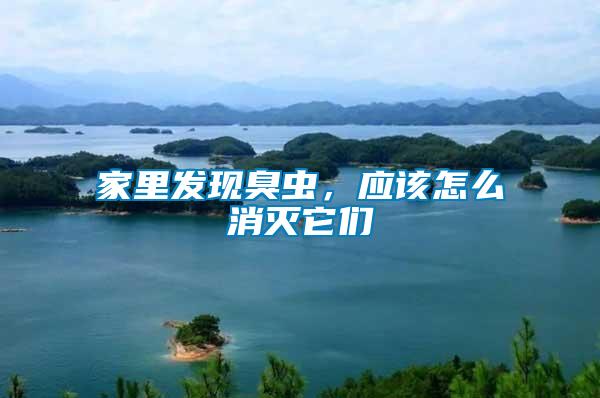 家里發(fā)現(xiàn)臭蟲(chóng)，應(yīng)該怎么消滅它們