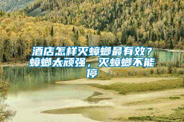 酒店怎樣滅蟑螂最有效？蟑螂太頑強，滅蟑螂不能停