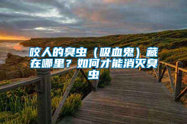 咬人的臭蟲（吸血鬼）藏在哪里？如何才能消滅臭蟲