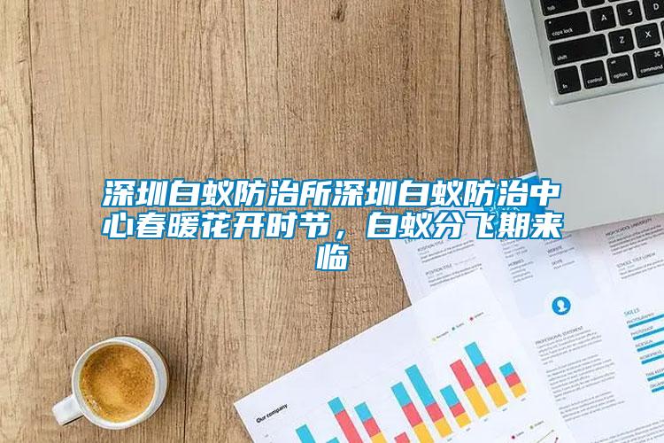 深圳白蟻防治所深圳白蟻防治中心春暖花開時節(jié)，白蟻分飛期來臨