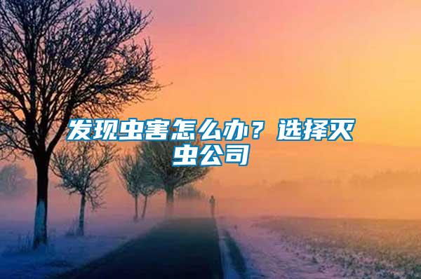 發現蟲害怎么辦？選擇滅蟲公司