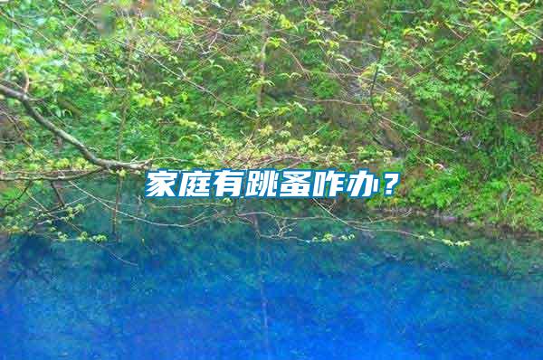 家庭有跳蚤咋辦？