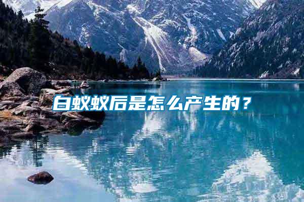 白蟻蟻后是怎么產生的？