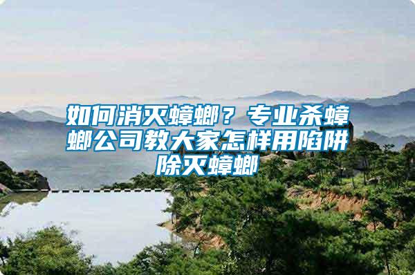 如何消滅蟑螂？專業殺蟑螂公司教大家怎樣用陷阱除滅蟑螂