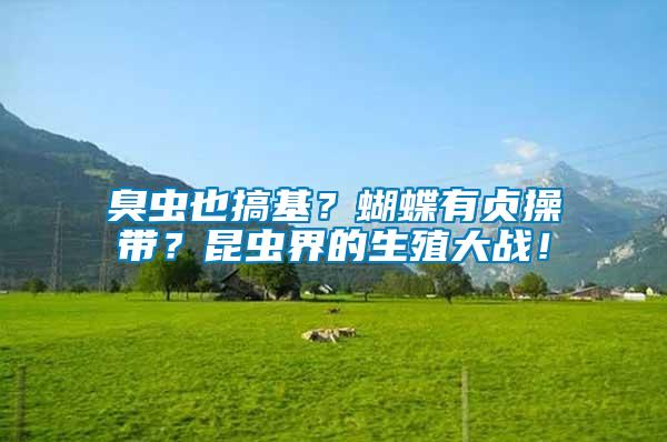 臭蟲也搞基？蝴蝶有貞操帶？昆蟲界的生殖大戰(zhàn)！