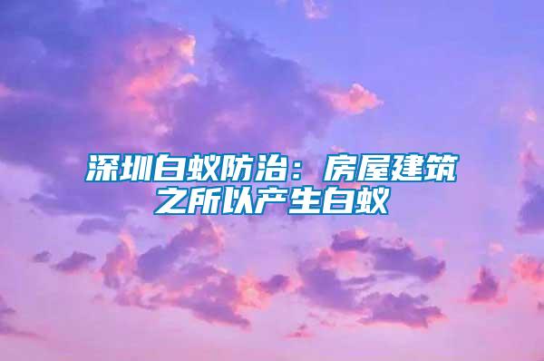 深圳白蟻防治：房屋建筑之所以產生白蟻