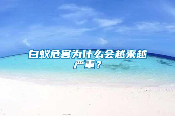 白蟻危害為什么會越來越嚴(yán)重？