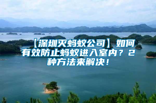【深圳滅螞蟻公司】如何有效防止螞蟻進入室內？2種方法來解決！