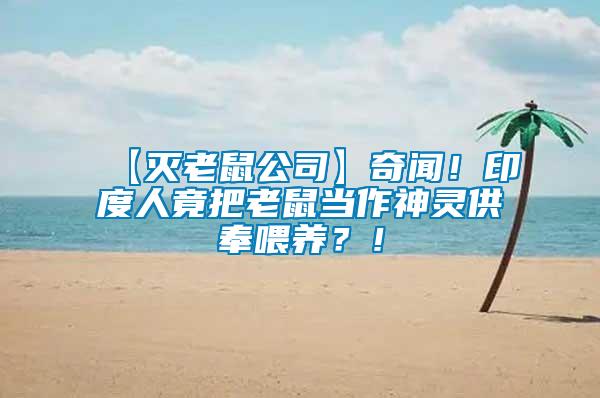 【滅老鼠公司】奇聞！印度人竟把老鼠當作神靈供奉喂養？！