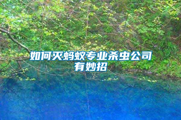 如何滅螞蟻專(zhuān)業(yè)殺蟲(chóng)公司有妙招