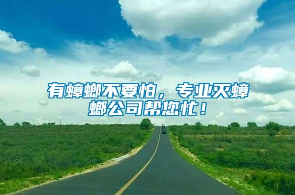 有蟑螂不要怕，專業滅蟑螂公司幫您忙！