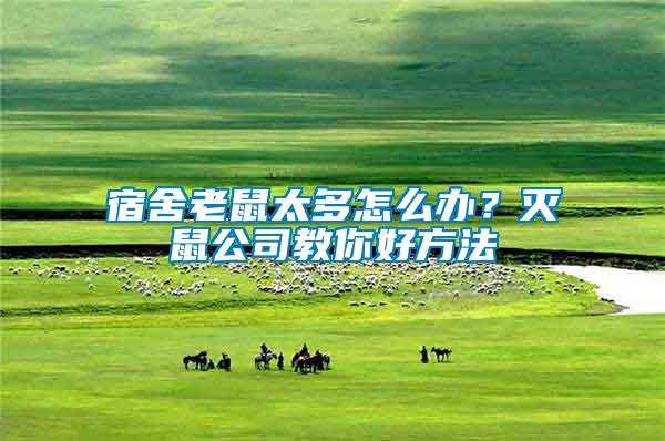 宿舍老鼠太多怎么辦?滅鼠公司教你好方法