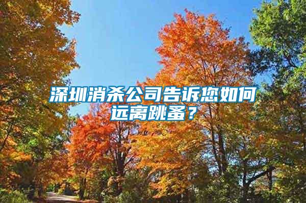 深圳消殺公司告訴您如何遠離跳蚤？