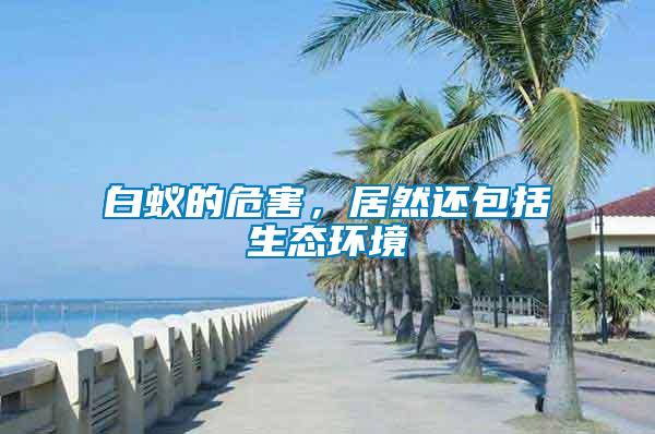 白蟻的危害，居然還包括生態環境
