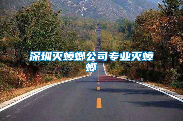 深圳滅蟑螂公司專業滅蟑螂