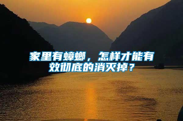 家里有蟑螂，怎樣才能有效徹底的消滅掉？