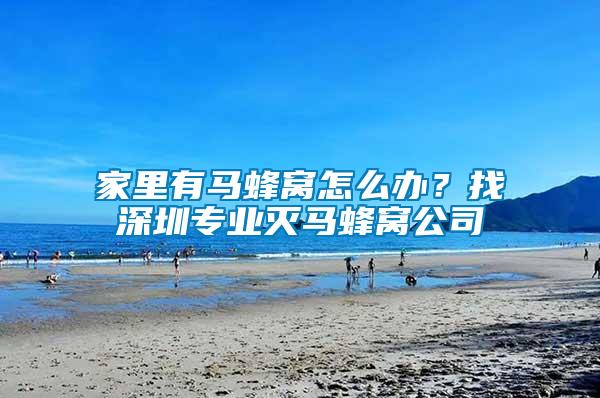 家里有馬蜂窩怎么辦？找深圳專業滅馬蜂窩公司