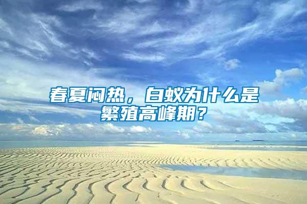 春夏悶熱，白蟻為什么是繁殖高峰期？