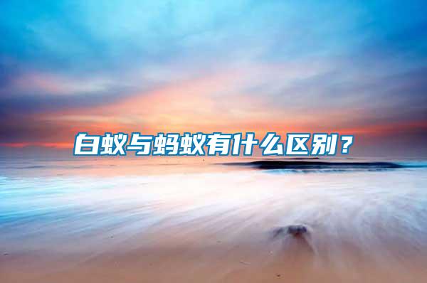 白蟻與螞蟻有什么區別？