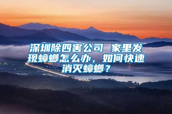 深圳除四害公司 家里發現蟑螂怎么辦，如何快速消滅蟑螂？